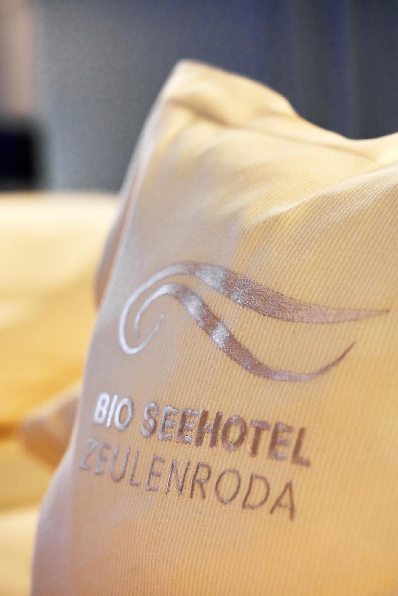 Bio-Seehotel Zeulenroda Extérieur photo